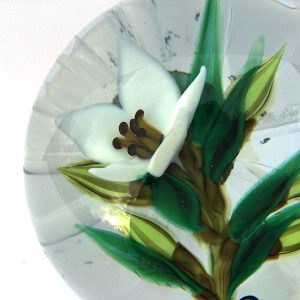 White Flower on Clear Paperweight